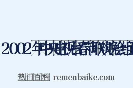 2002年中央电视台春节联欢晚会组词是什么意思的图片